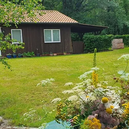 Moorblick